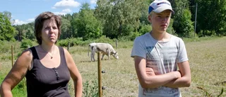 De kämpar med både torka och sorg – Hugo, 14, vill ta över gården