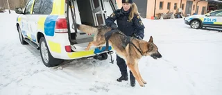 Outtröttliga Zimba är bästa kollegan