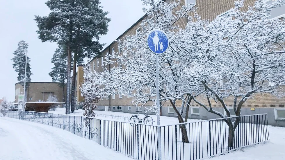 Träden utanför Järvenskolan Tallås har fått en frostig klädsel.
