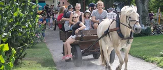 Tusentalet barn var på plats i Stadsparken