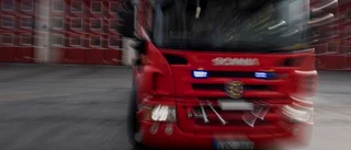 Förare körde av vägen – fortsatte in i träd