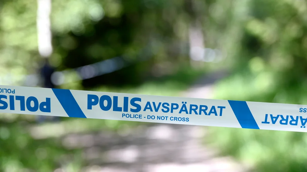 En 21-årig man har häktats för medhjälp till mord och grovt skyddande av brottsling efter mord på en camping. Arkivbild.