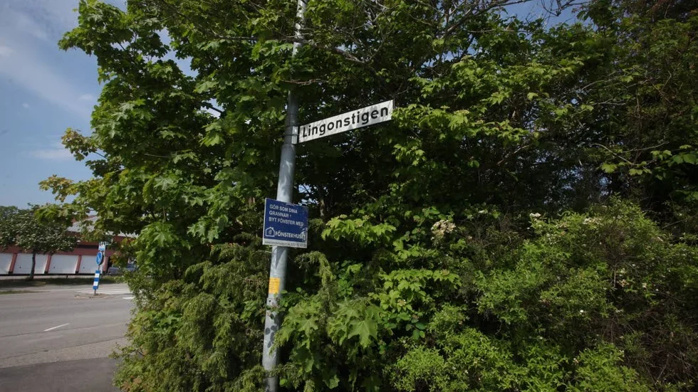 Pojken var på väg mot Lingonstigen i Finninge när en främmande man försökte locka med sig 9-åringen i en skåpbil.