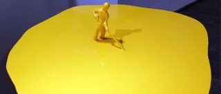 Konsthallen visar exposé