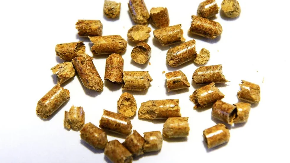 TRÄPELLETS. Det är de här kulorna det handlar om, träpellets som bränsle.