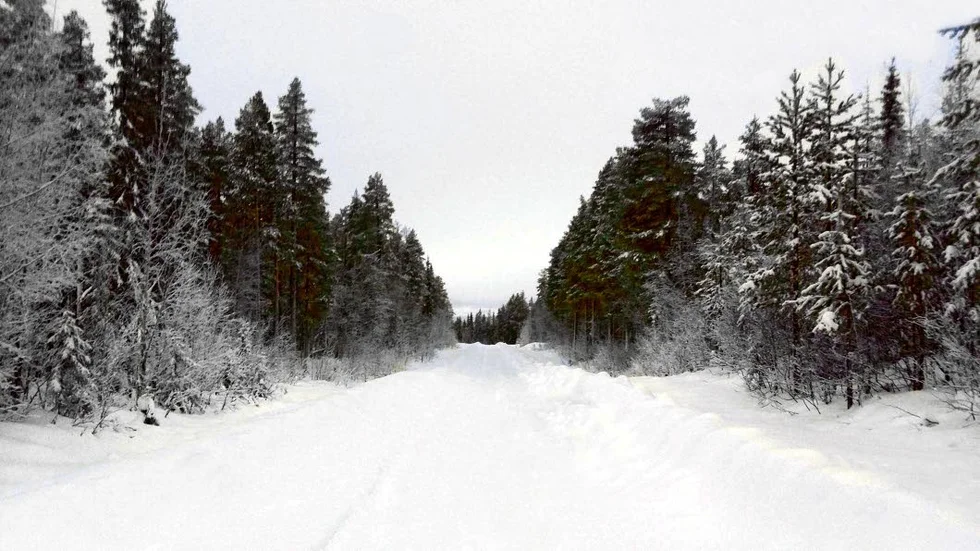 Vägen in till gruvområdet i Kallak.