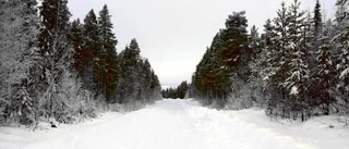 Borrningarna i Kallak fortsätter