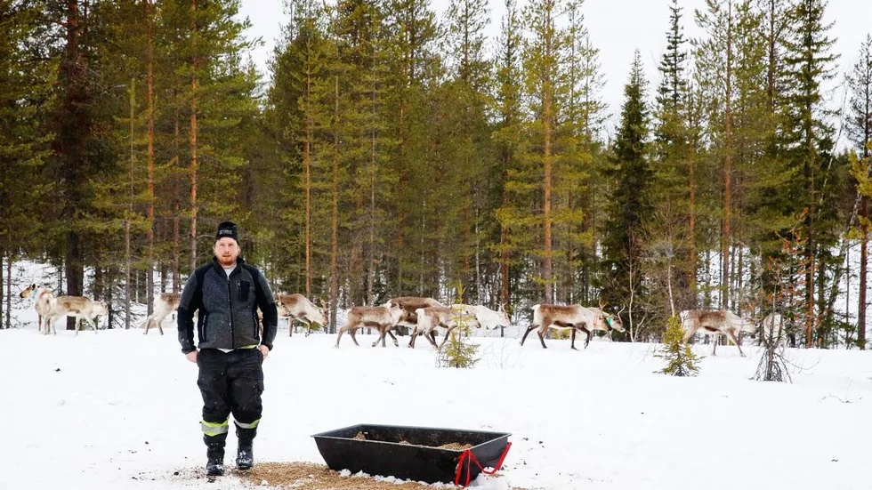 Renskötare. Henrik Andersson är fortfarande orolig över att vindkraftverk kan stoppa hans rennäring.