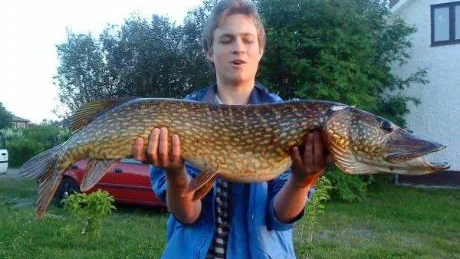 TYNGSTA GÄDDAN HITTILLS. Sextonårige Alexander Englund, Kalix, tog ledningen i gäddklassen med den här fisken. Den högg på en wobbler. Gäddan var 106 centimeter och vägde 10, 4 kilo. Tungviktaren fångdes i Trångån norr om Morjärv.