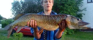 Nya stora fiskar