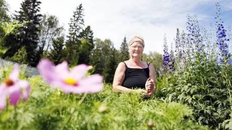 SOMMARIDYLL. Anita Aldrin trivs väldigt bra ute på kolonilotten. Rosenskäran är hennes favoritblomma.