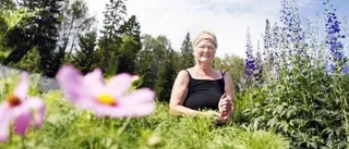 Bodensarna har fallit för odlingstrenden