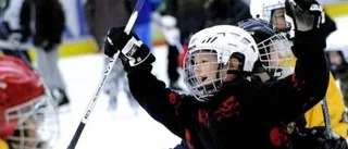 Luleå hockey-spelare på tillväxt