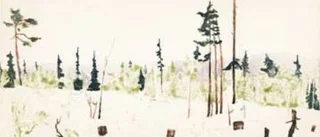 Norrbottnisk surskog och magergranar