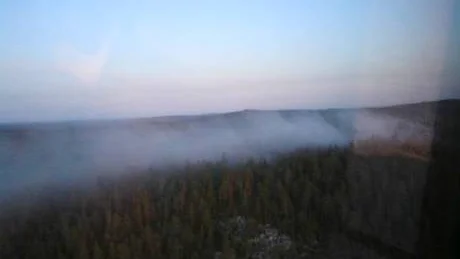 TJOCK BRANDRÖK. Räddningstjänsten uppskattade att mellan 6-7 hektar skog brunnit ner. Under onsdagen låg röken tjock över trätopparna.