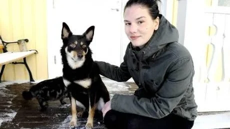 MYSTISKT BESÖK. Det var med stor sannolikhet den så kallade E 4-ligan som hade tänkt göra inbrott hos familjen Stenman i Ängesbyn förra veckan. Fast tjuvarna hade inte räknat med att Emma Stenman och hunden Kol, 3, skulle vara hemma.