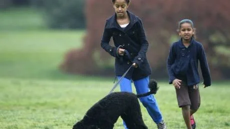 familjehund. Enligt de senaste rapporterna från  amerikanska tidningar är det Michelle Obama som går  ut med Boo på morgnarna. På dagarna leker han med  barnen Malia och Sasha när de inte är i skolan. Foto: Ron Edmonds/AP/Scanpix