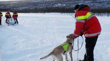 En imponerande uppvisning svarade lavinhunden Ticka och föraren Peter Schmitt för.