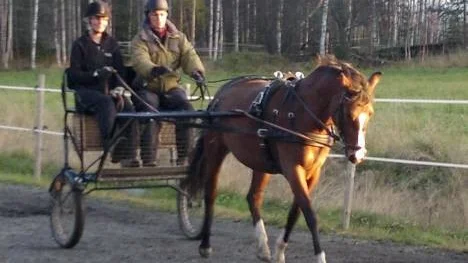 Unghästen Donna körs av Veronica Isaksson, som bredvid sig har ägaren Terese Wikström.