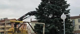 Stjärnan hamnade på sniskan