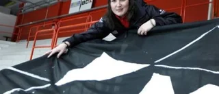 Sara "riksbusa" - på papperet