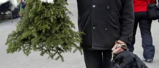 Gammeldags julmarknad lockade