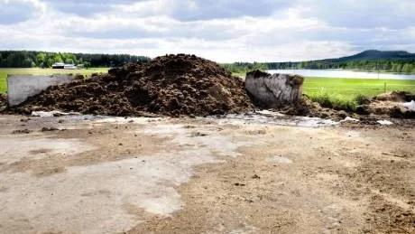 MÅSTE BYGGA HUS. Den här högen med fastgödsel måste bonden Roger Larsson uppföra en byggnad för enligt domen i miljödomstolen.