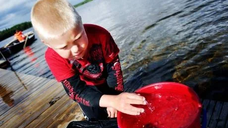 FISKAR I MASSOR. Hundratals minimala spigg hade Leo Pantzare och de andra på Unga örnars läger på Vallen fiskat upp med håv. Inte mycket att lägga på halstret kanske men kul ändå.