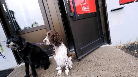 VÄLKOMNA IN. Nu behöver inte Selma, Rut eller några andra hundar i Luleå heller för den delen sitta utanför när husse och matte går på kafé. På Tassa in är även de fyrbenta välkomna på en fika.