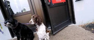 Rut och Selma på sitt första kafébesök