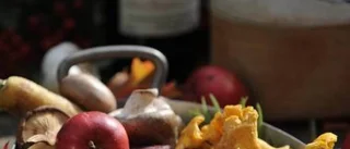 Naturligt med vilt i grytorna