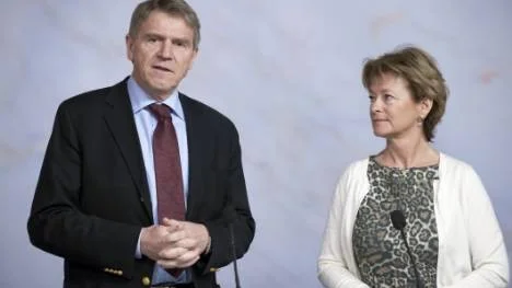 Som ordföande för den kommitté som ska analysera litteraturens ställning presenterades riksbibliotekarien och riksarkivarien Tomas Lidman av Kulturminister Lena Adelsohn Liljeroth.