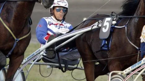 Ove A Lindqvist är en kusk i form. I V4-2 kör han Benny the Cop från innerspår och han blir en av PT-spikarna i den intensiva travdagen i Skellefteå somm innehåller V4, V5 och V75. Mycket att spela på och mycket att vinna tror vår travexpert Bosse Lundkvist (Arkivbild)