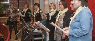 Swing och dragspel