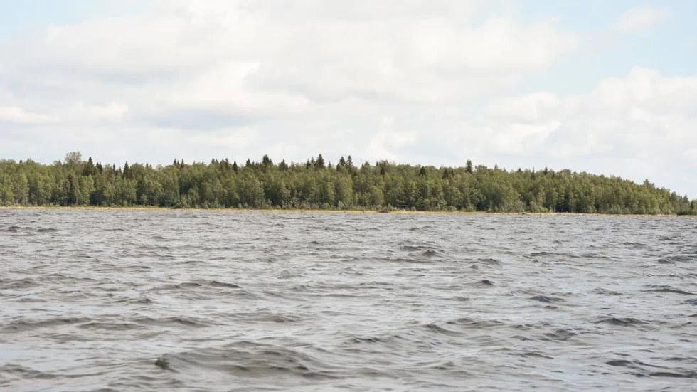 Skog. Veteranen menar att obebyggda öar drar ner attraktionen i skärgården.
