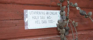 Här är våfflan stora grejen