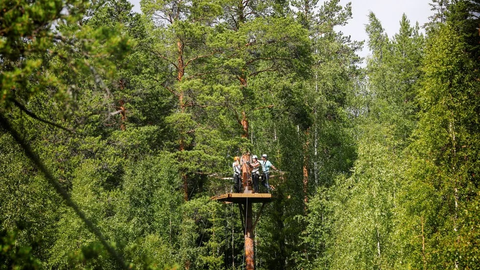 Luftfärd. Rhiannon och Ian Kimber firar sin bröllopsresa med att sväva mellan trädtopparna i Harads.