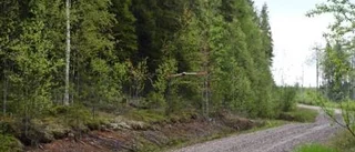 Plastfågeln ser allt