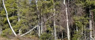 Teleledningar i förfall