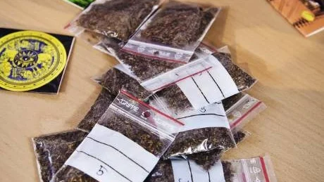 BESLAG. Polisens senaste beslag av nätdrogen Spice. Foto: Mattias Forsberg