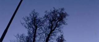 LED låter sig väntas på