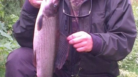 LEDARHARREN.Högg på klinkhammern som Tobias Olsson serverade med sitt flugspö i Puoltikasjärvi. Den vackra nya ledarharren i DM vägde 1726 gram och var 55 cm lång.
