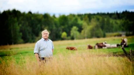 LEVERANS. Mats Wiberg i Holmträsk har 150 kor som varje år levererar 1.200 ton mjölk till Norrmejerier.  Foto: Petra Isaksson