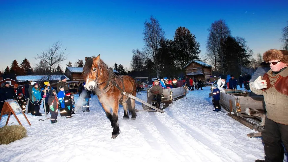 Att åka släde bakom häst är en av de klassiska insalgen på Hägnans julmarknad.