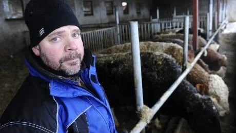 BITTER BONDE. Det är med bitterhet som Roger Larsson, 47, Orrbyn, drastiskt tvingas dra ned sitt jordbruk. Detta sedan en granne under många år klagat på det mesta om jordbruket. Spiken i likkistan blev att även miljööverdomstolen slog fast att det luktade för mycket från Rogers jordbruk. I bakgrunden några av de få köttdjur som finns kvar på gården men som ska lämnas till slakt till hösten.