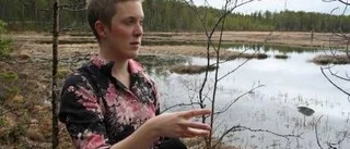 Damen i Talvatissjön
