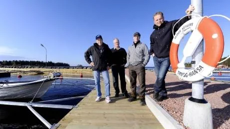 NY HAMN. Stolt visar några av hamnföreningens medlemmar upp den nya hamnen. Sture Josefsson, Tore Lindbäck, Björn Persson och Nils Lundgren.