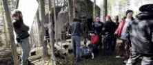 Tystnad, tagning i Älvsbyskogarna