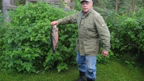 GULD I RÖDINGKLASSEN. 56 centimeter och 3,3 kilo. Det räckte till guld i rödingklassen. Fiskaren är pensionären Henry Jakobsson från Jokkmokk. Han fiskade i tjärnen Raikit, nära Högträsk, en mil nordost om Messaure.