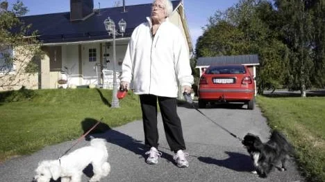 "Vi ska inte behöva frukta för våra hundars liv då vi går ut med dem runt kvarteret", säger Marita Wallgren med Molly och Mitzy i koppel.